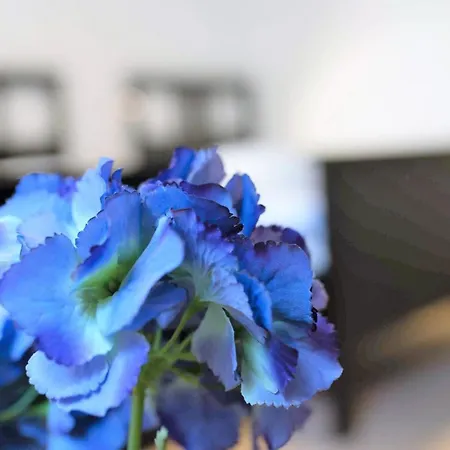 Apartment Work And Balcony