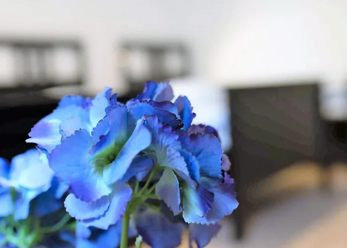 Διαμέρισμα Work And Balcony